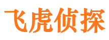 高邑侦探公司